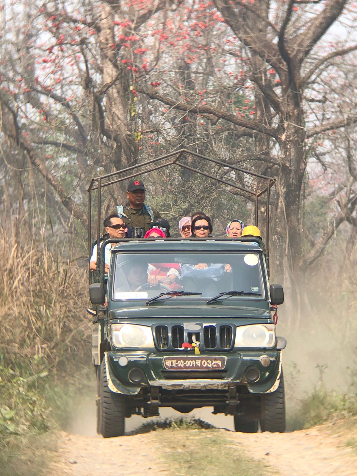 Jeep Safaris